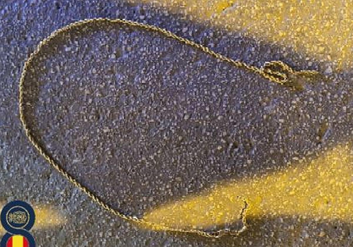 El cordón de oro robado.