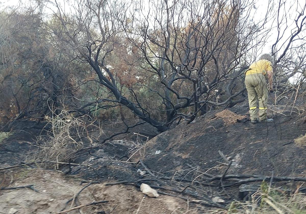 Zona calcinada por el incendio.