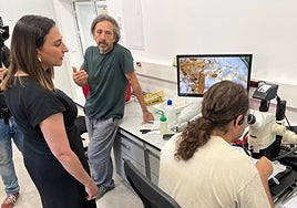 La consejera Sara Rubira, en el laboratorio del IMIDA en el que se investigan técnicas para combatir el trips exótico que afecta el pimiento en invernadero.