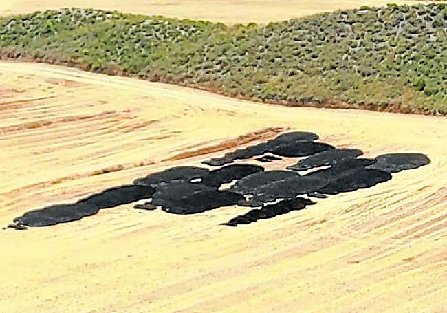 Ayer, más montones de lodo a unos 150 m del cauce.