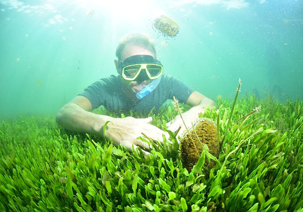 Una de las nacras encontradas.
