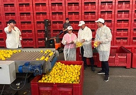 González Zapater junto al director de Ailimpo, este jueves, en una empresa comercializadora de limón de Murcia.