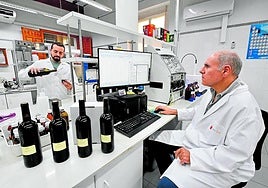 Técnicos de la estación enológica del Imida en Jumilla analizan unos vinos, en una imagen de archivo.