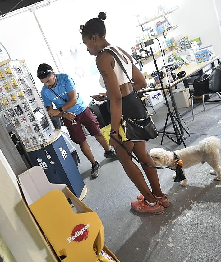Imagen secundaria 2 - Los hoteles para perros, cada vez más demandados en Murcia: «Estamos completos desde junio»