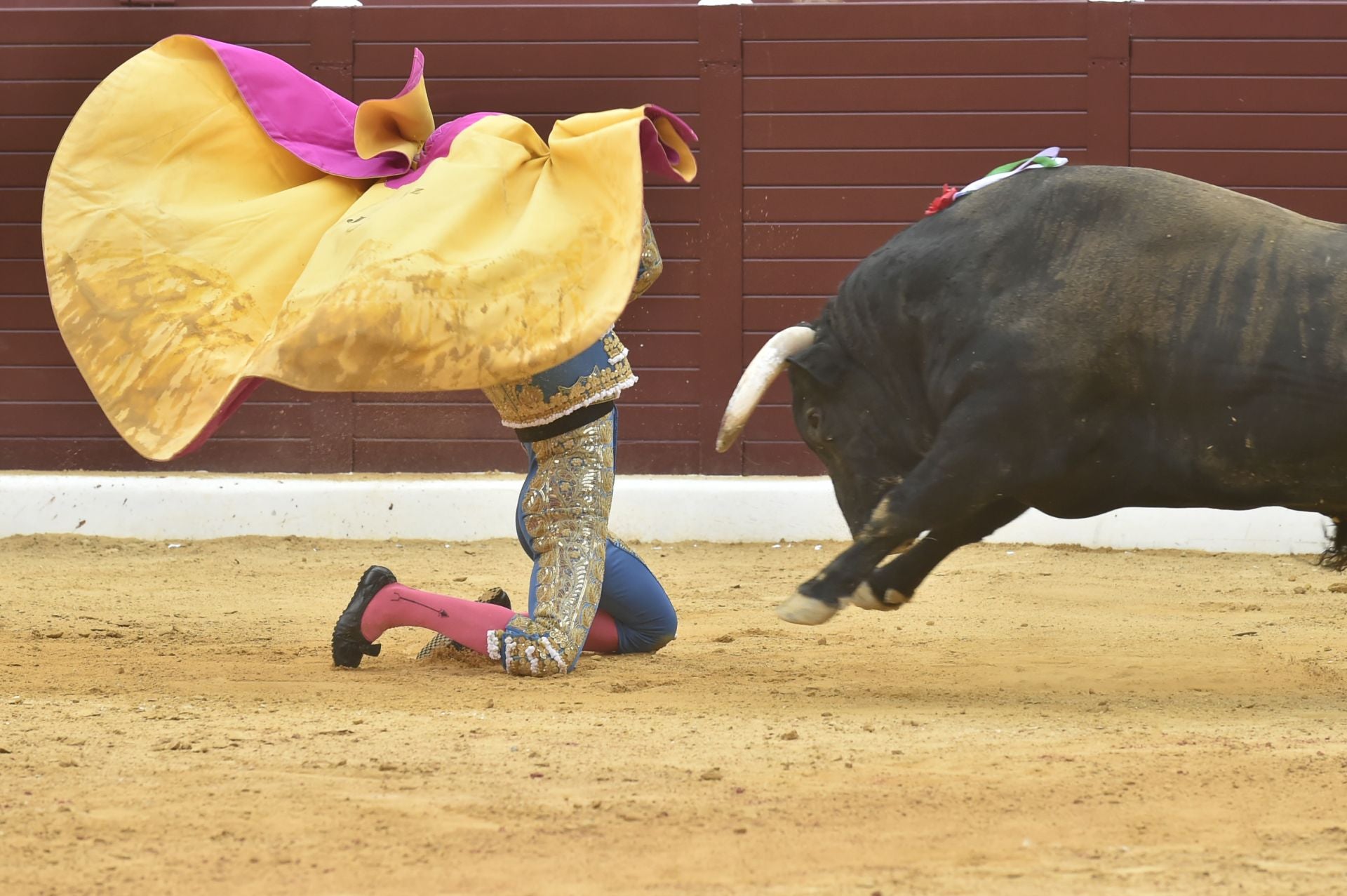La corrida de Castella, Perera y Jiménez en Cieza, en imágenes