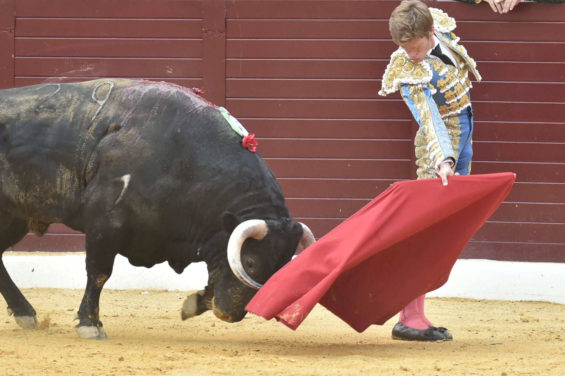 La corrida de Castella, Perera y Jiménez en Cieza, en imágenes