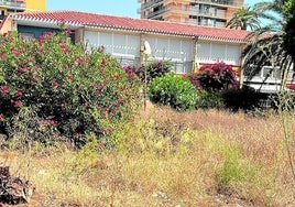 Uno de los jardines que rodea la iglesia de la localidad, repleto de maleza y restos de basura.