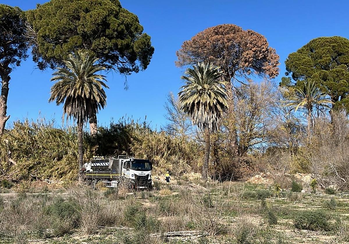 Imagen del riego de emergencia llevado a cabo la semana pasada.
