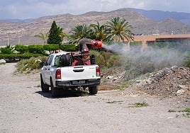 Labores de fumigación en la provincia de Almería.