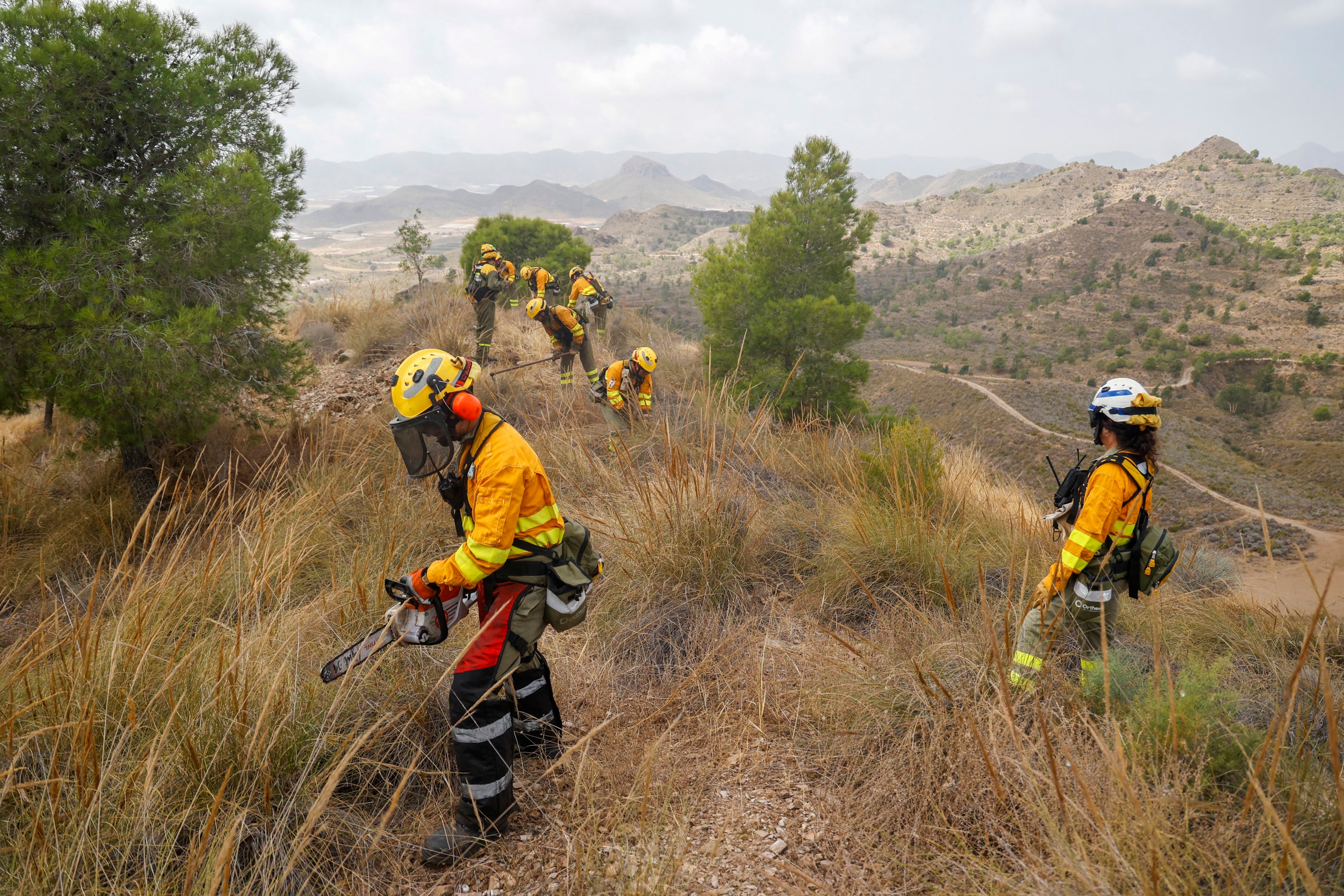 Las imágenes del simulacro de los bomberos forestales de la brigada terrestre de Mazarrón