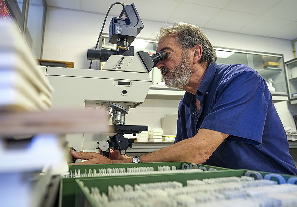 Salvador Martínez, en el Instituto de Neurociencias de Alicante.