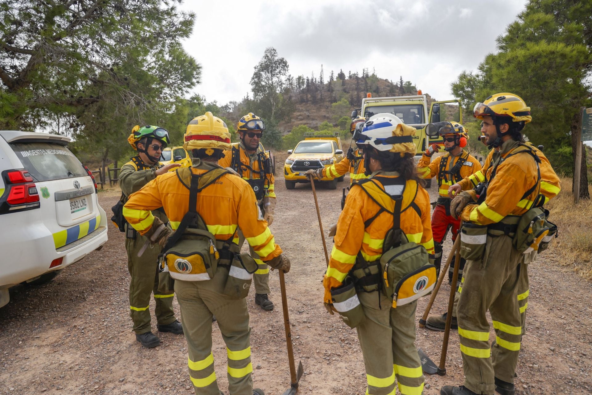 Las imágenes del simulacro de los bomberos forestales de la brigada terrestre de Mazarrón