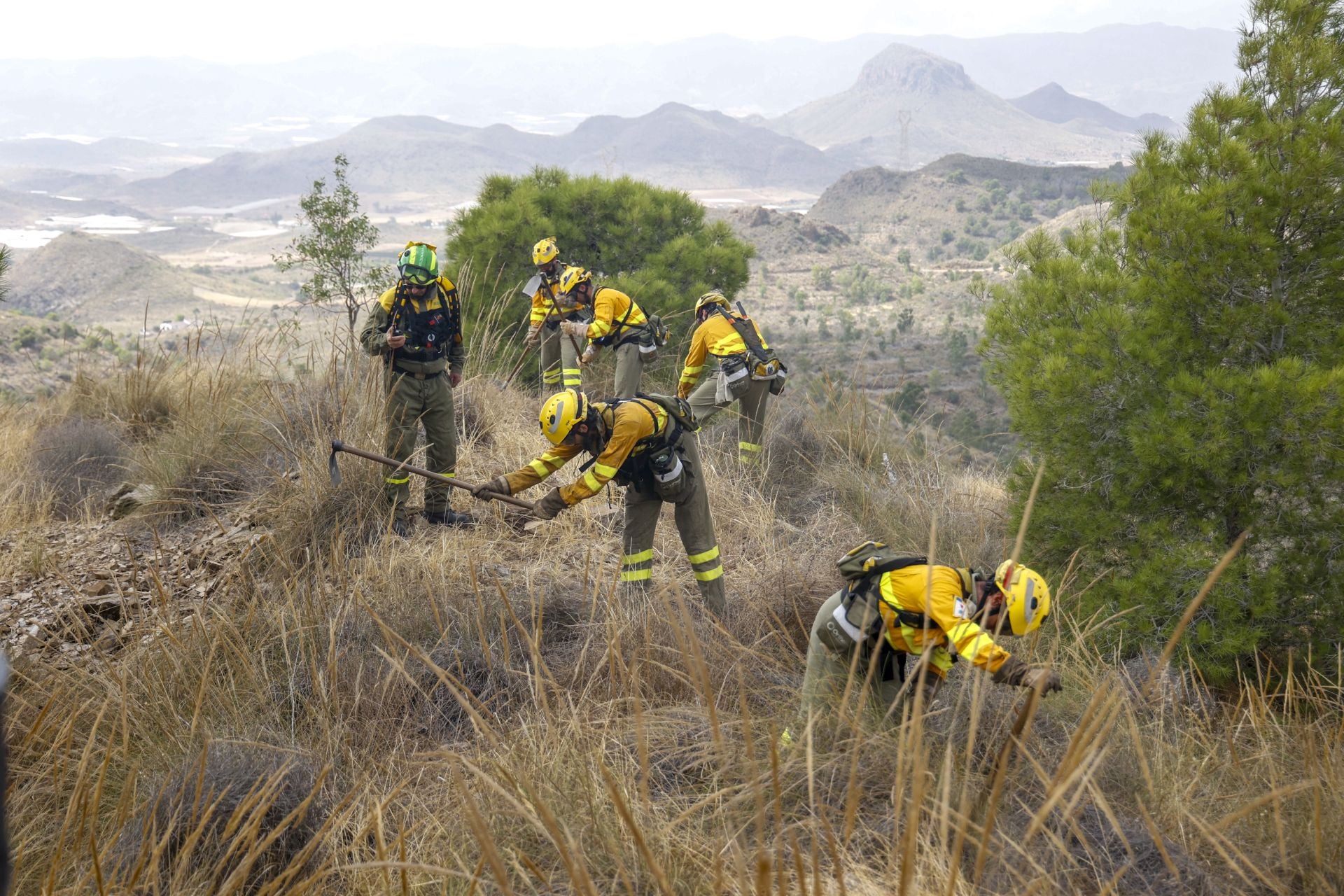 Las imágenes del simulacro de los bomberos forestales de la brigada terrestre de Mazarrón