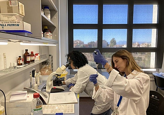 Investigadoras en un laboratorio en una imagen de archivo.