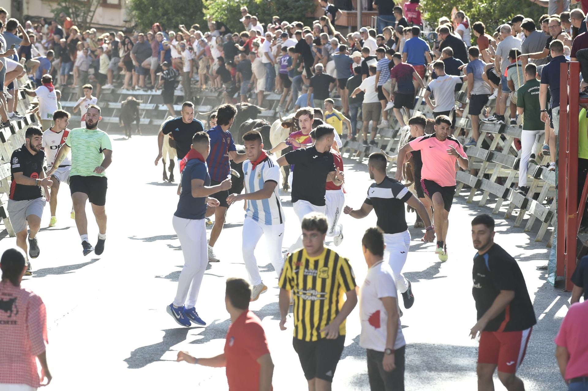 La ganadería El Pincha abre los encierros de Calasparra