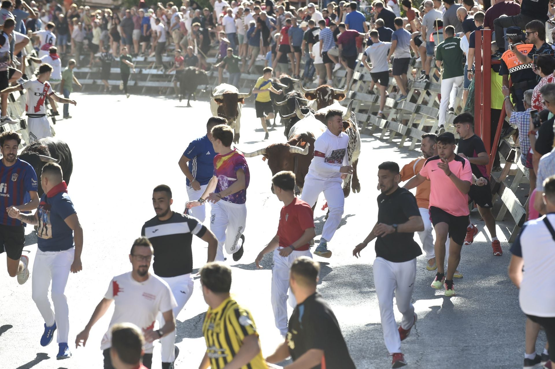 La ganadería El Pincha abre los encierros de Calasparra