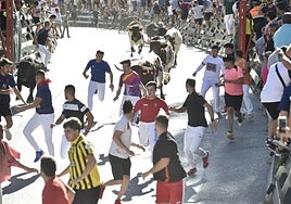 La ganadería El Pincha abre los encierros de Calasparra