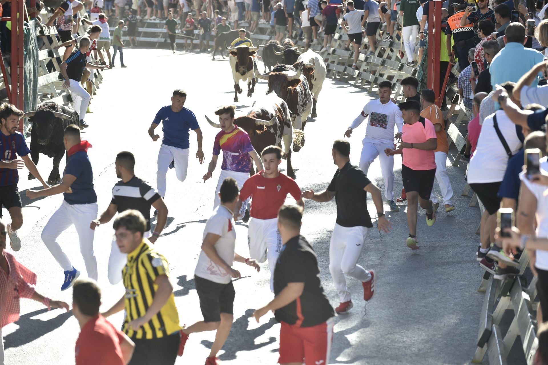La ganadería El Pincha abre los encierros de Calasparra