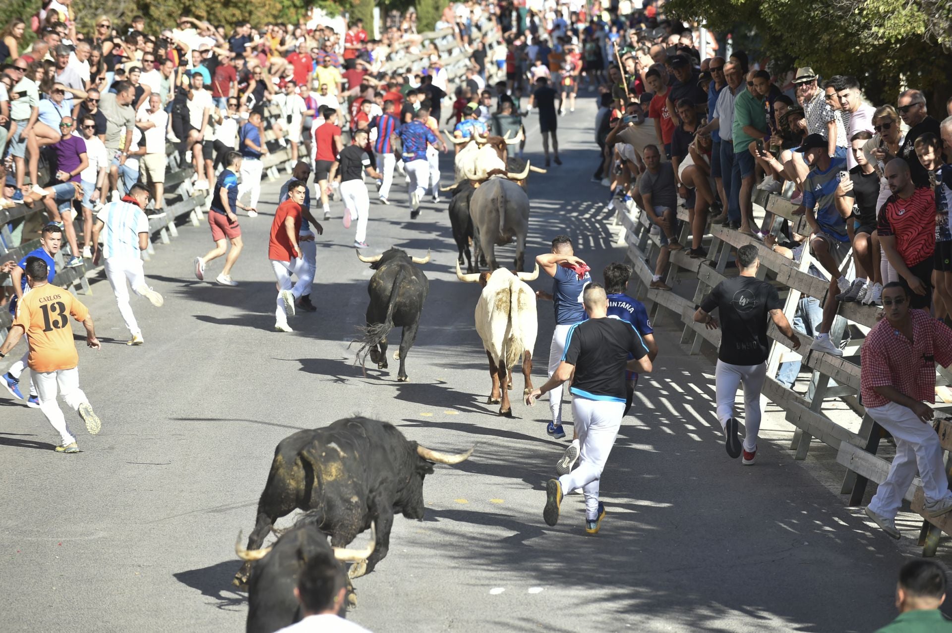 La ganadería El Pincha abre los encierros de Calasparra