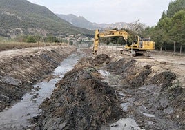Labores de mantenimiento en el dominio hidráulico del Segura.