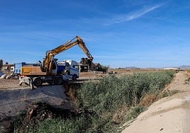 Maquinaria pesada trabaja en la retirada de la masa vegetal en el canal de Biznaga, ayer.
