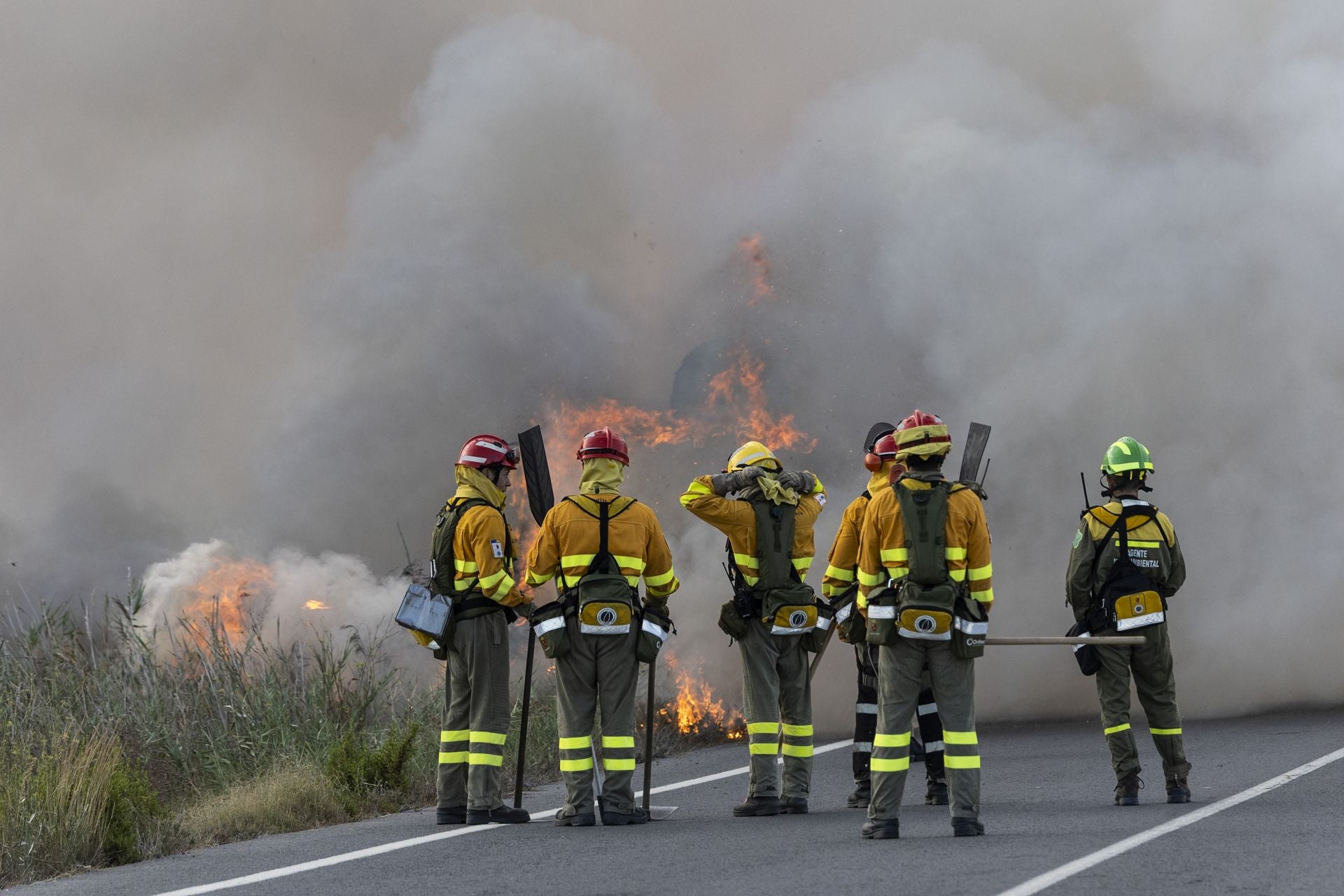 El incendio forestal del Carmolí, en imágenes