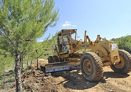 Medio Ambiente inicia la recuperación de hábitats degradados con semillas locales obtenidas mediante recolección manual