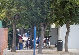 Barracones en el Bienvenido Conejero de Los Alcázares.