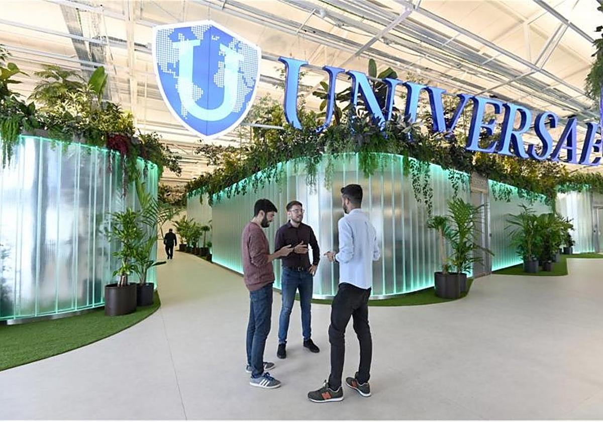 Estudiantes charlan en las instalaciones de UNIVERSAE. Un alumno del ámbito sanitario realiza una actividad práctica. Jóvenes caminan por uno de los pasillos de UNIVERSAE.