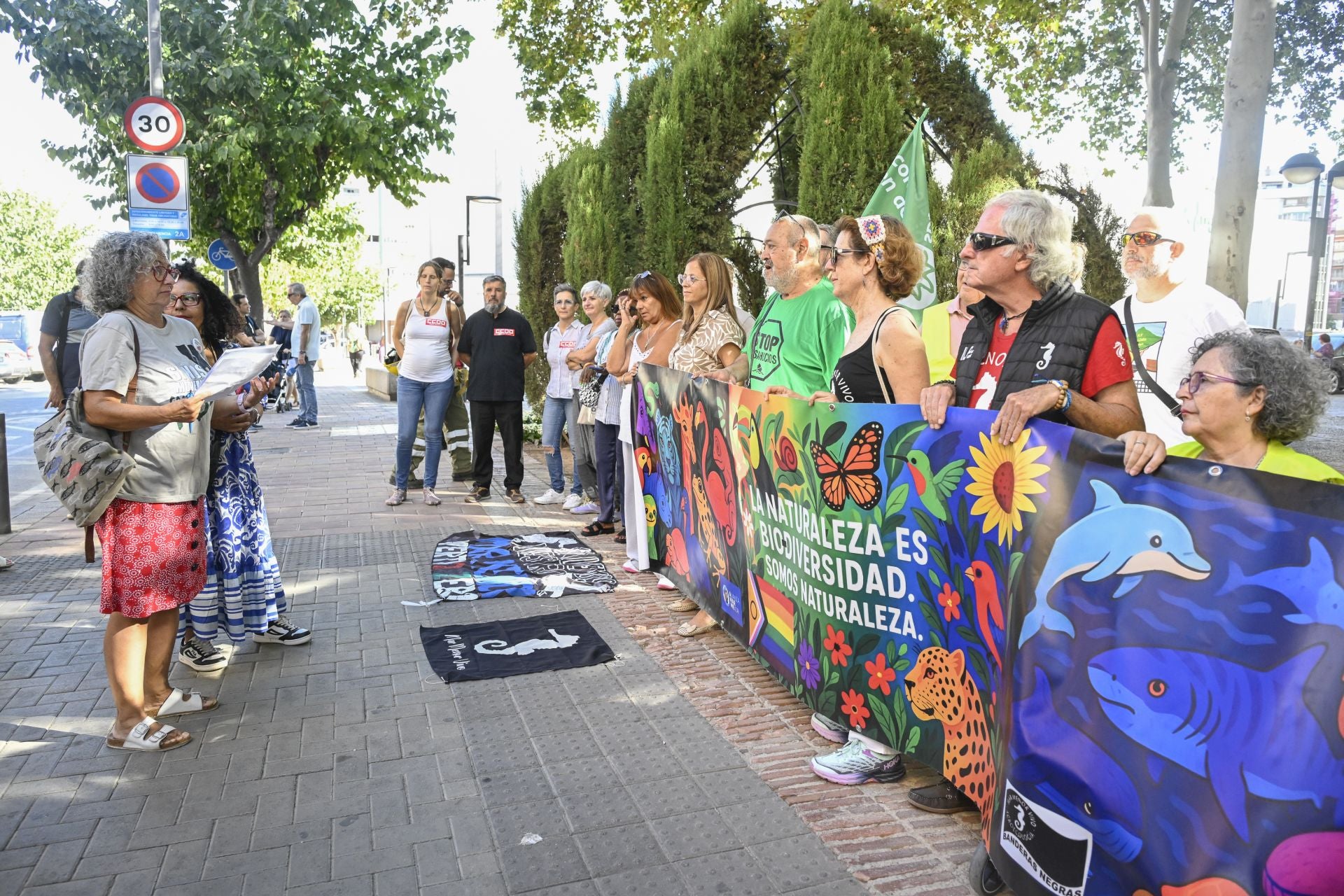 La protesta de las Marchas por la Dignidad de Murcia, en imágenes