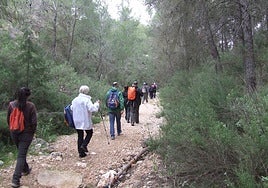 La Comunidad restaurará el sendero del Estepar para preservar el Parque Regional de Sierra Espuña y mejorar la seguridad de los visitantes