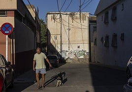 Un vecino paseo a su perro junto al transformador.