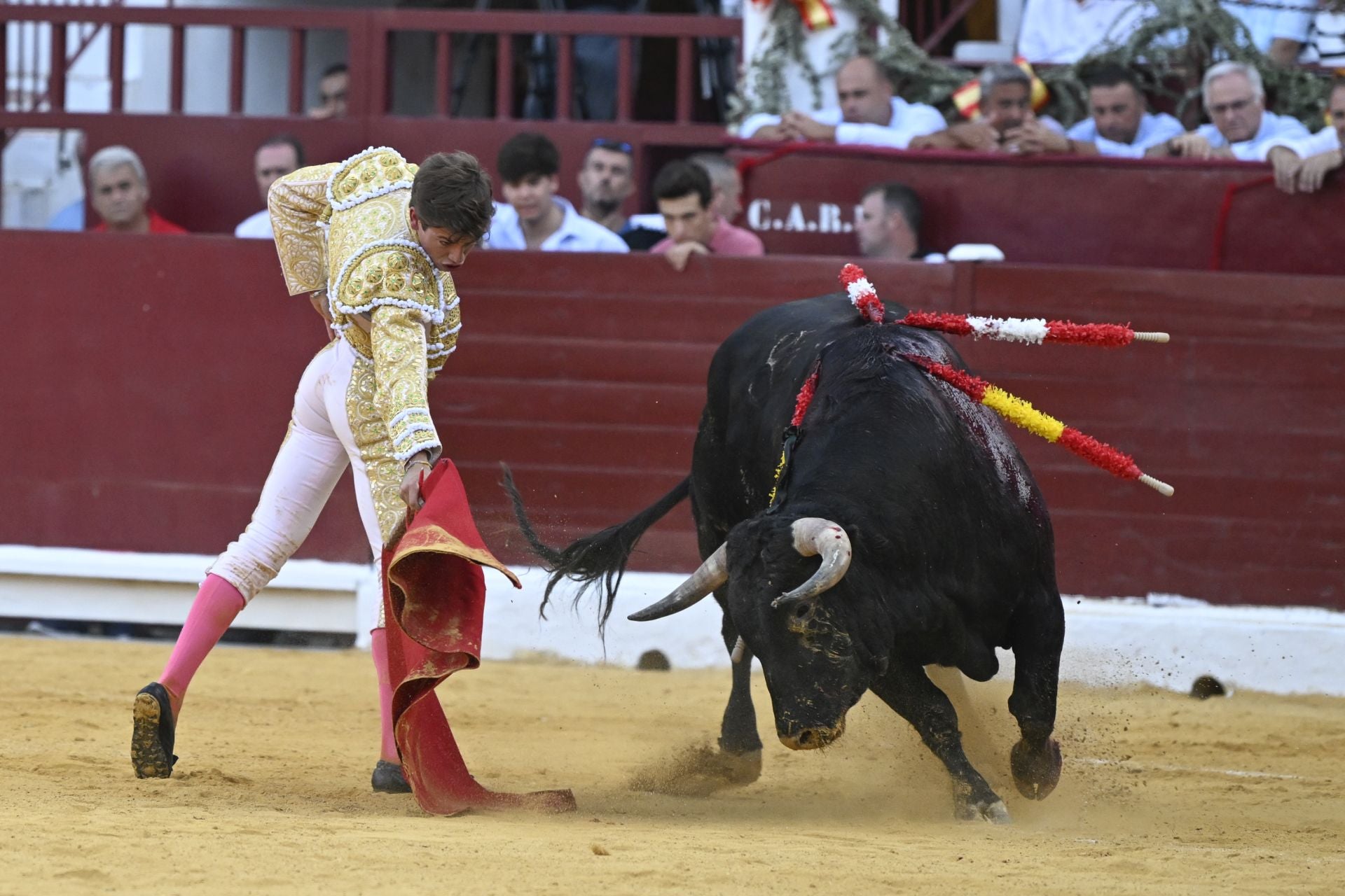 La primera novillada de la Feria Taurina de Murcia, en imágenes