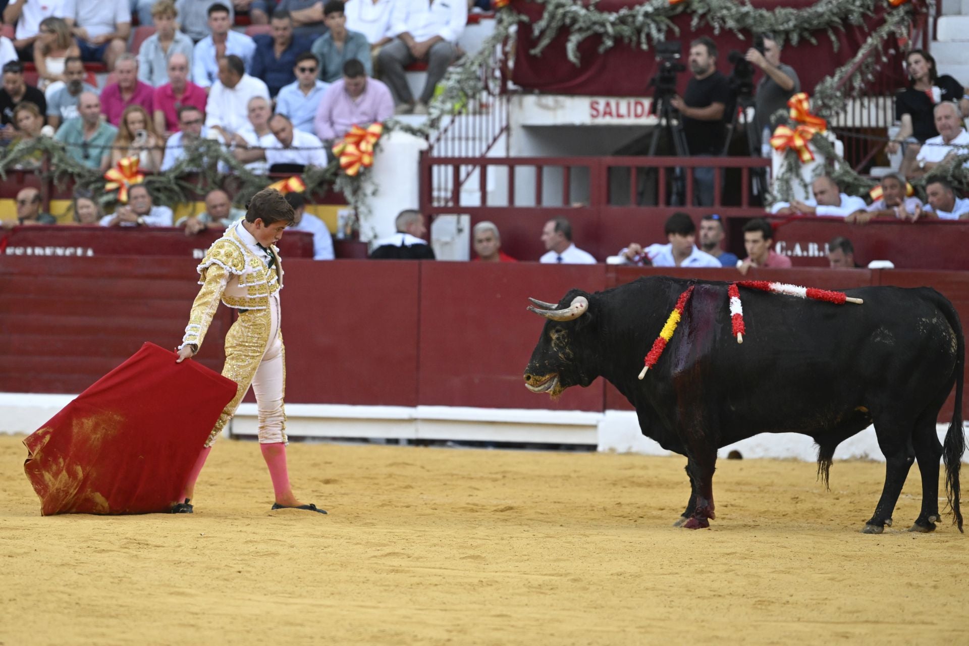 La primera novillada de la Feria Taurina de Murcia, en imágenes