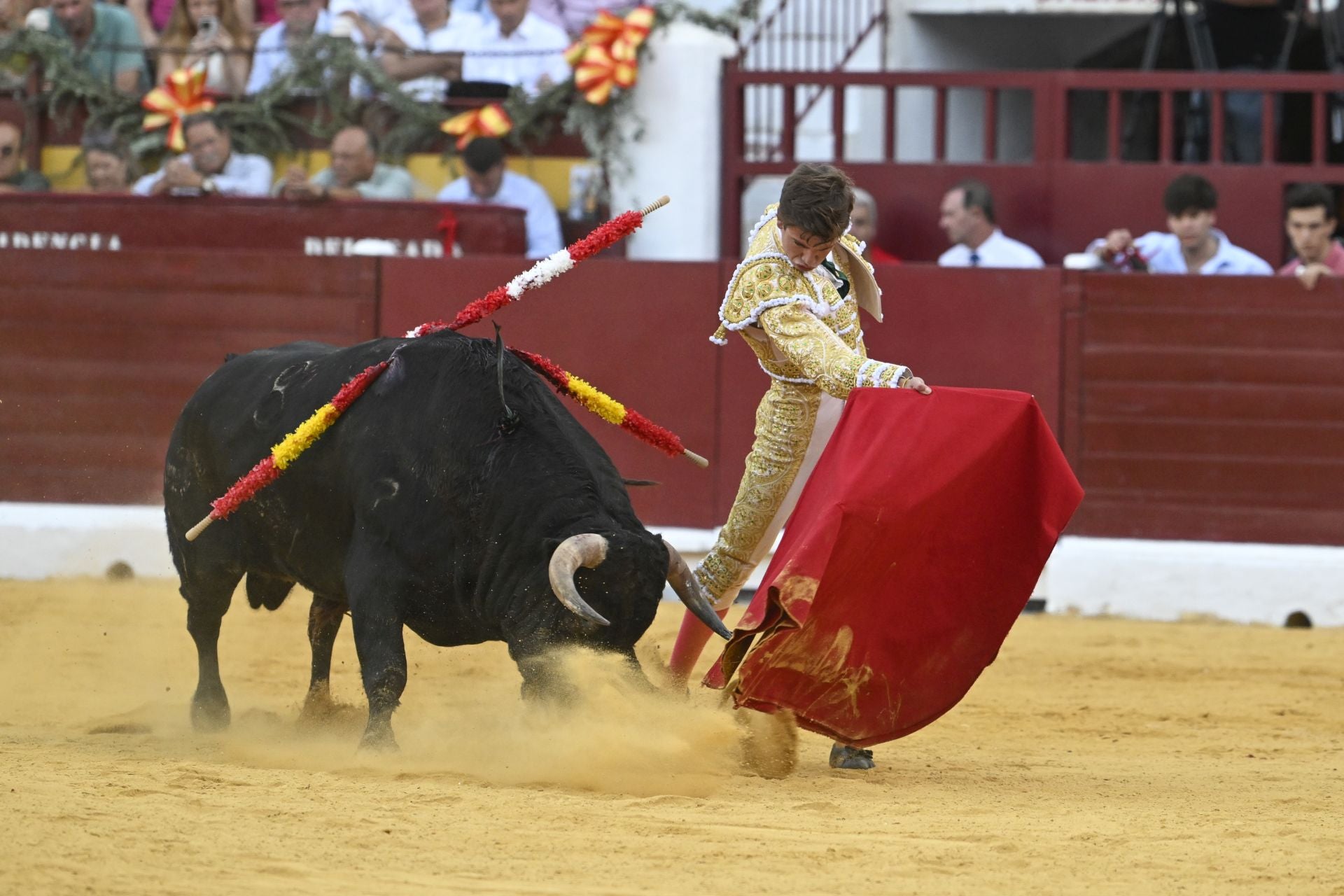 La primera novillada de la Feria Taurina de Murcia, en imágenes
