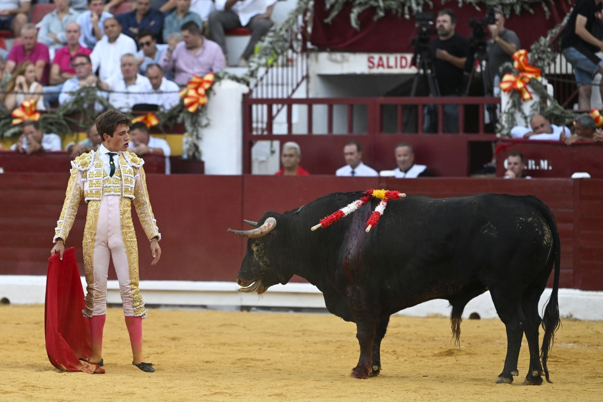 La primera novillada de la Feria Taurina de Murcia, en imágenes