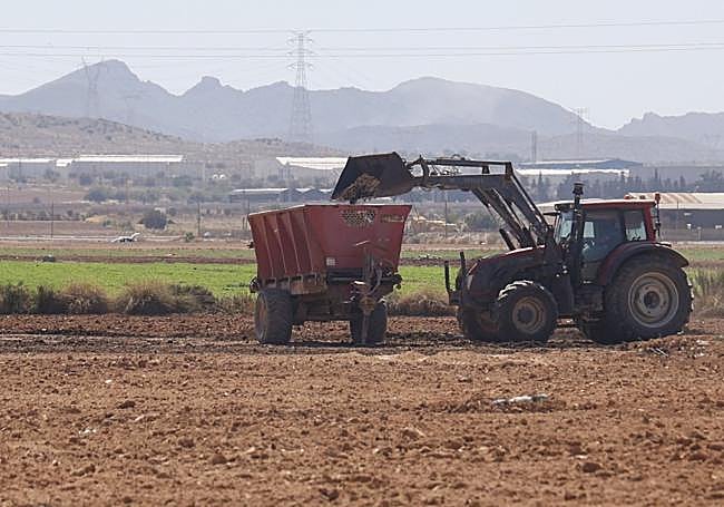 Un tractor, en una finca agrícola de Cartagena.