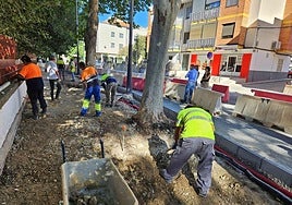Obras en la calle Doctor Robles.