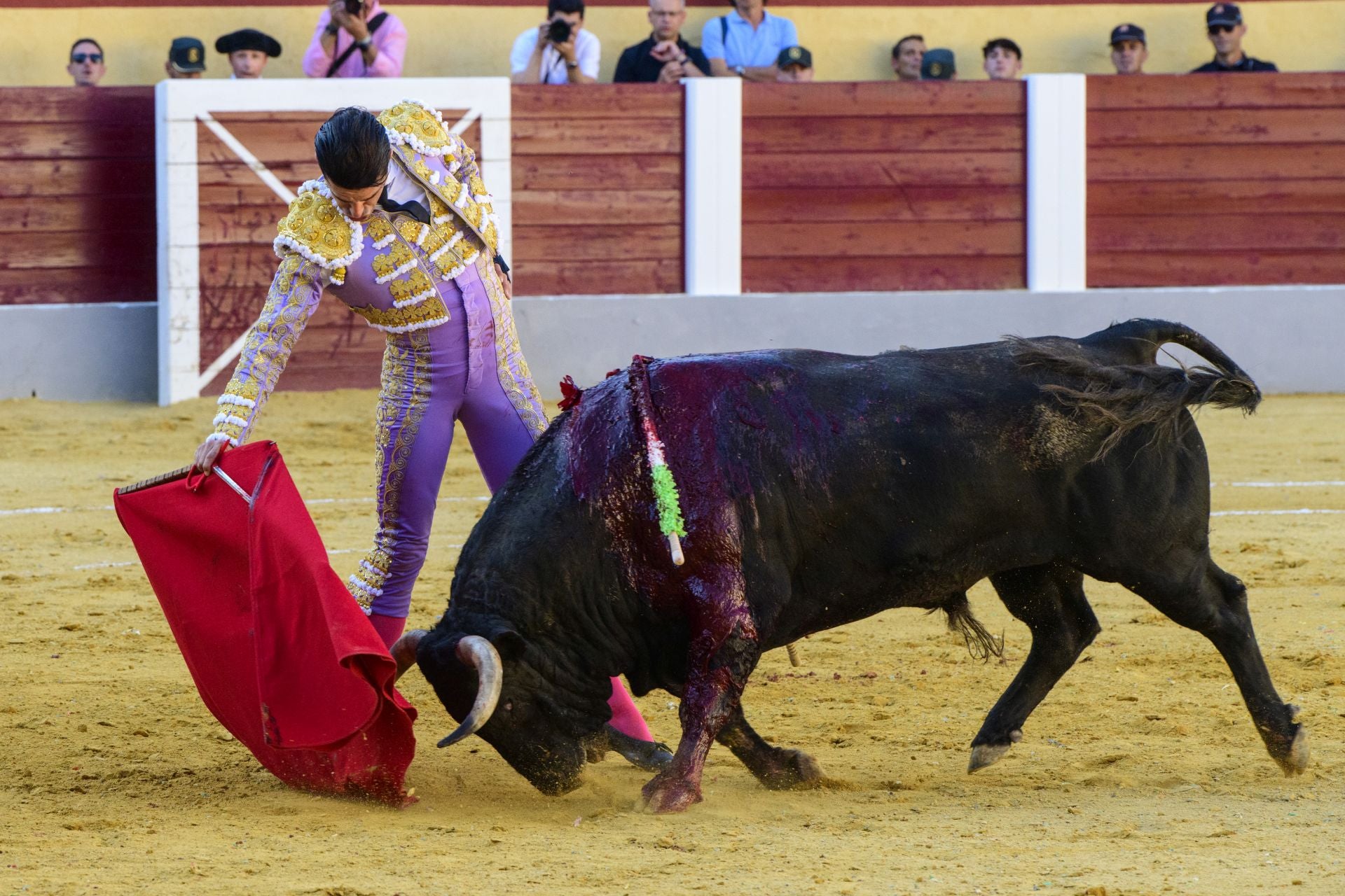 Las imágenes de la corrida de las Maravillas en Cehegín