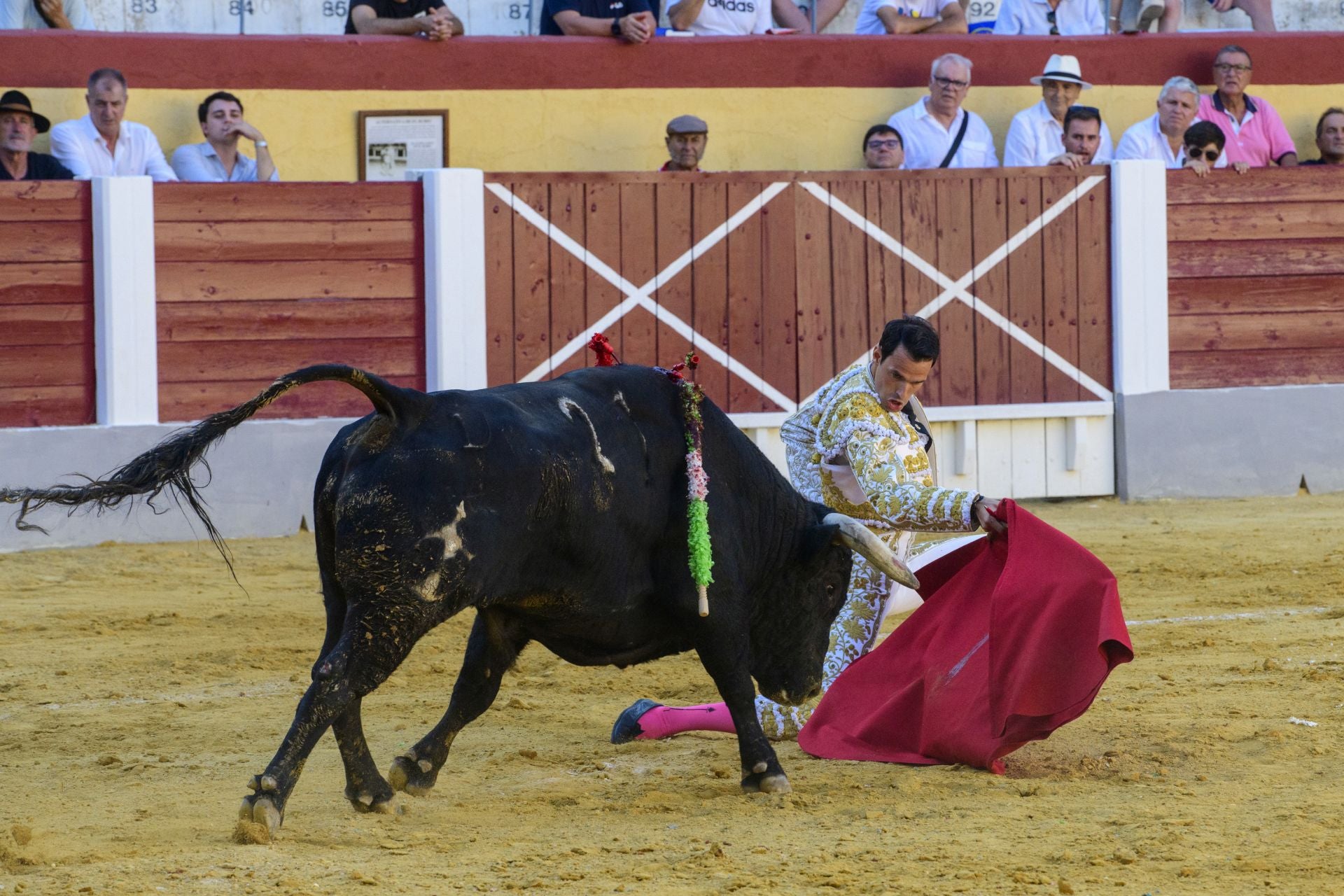 Las imágenes de la corrida de las Maravillas en Cehegín