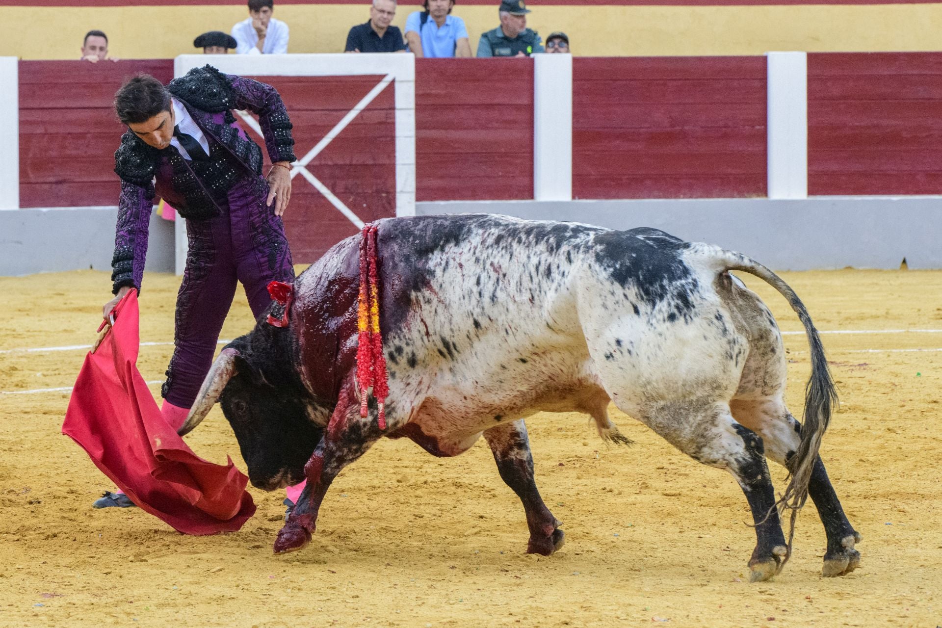 Las imágenes de la corrida de las Maravillas en Cehegín