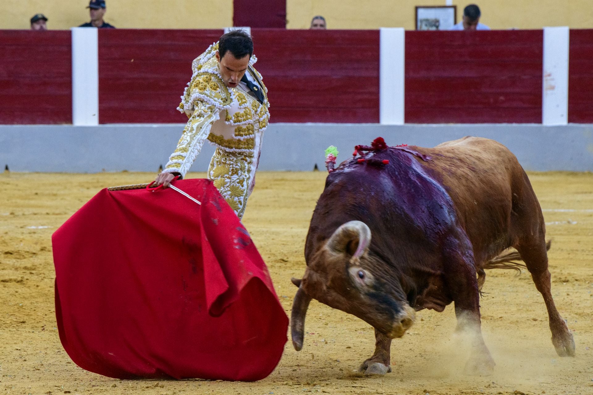 Las imágenes de la corrida de las Maravillas en Cehegín