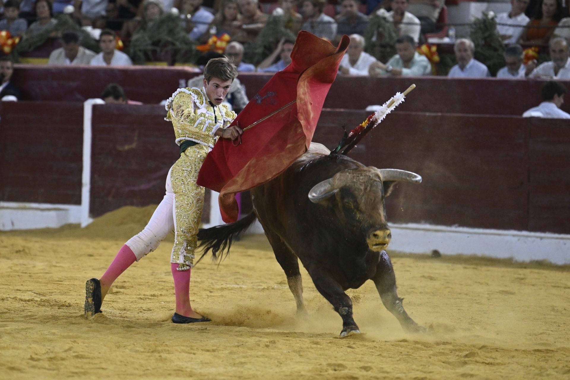 La primera novillada de la Feria Taurina de Murcia, en imágenes