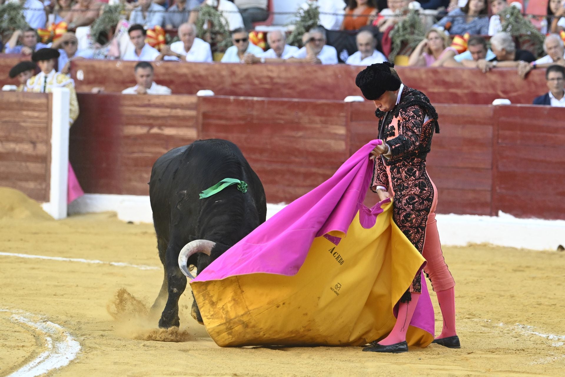 La primera novillada de la Feria Taurina de Murcia, en imágenes