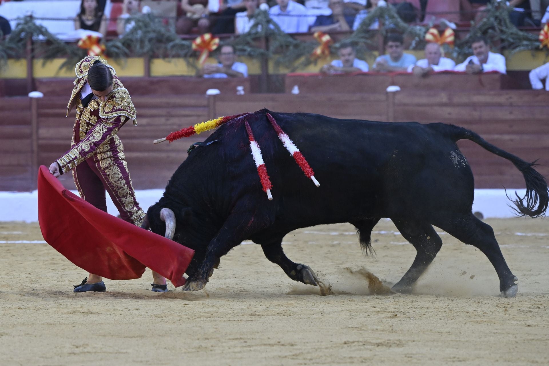 La primera novillada de la Feria Taurina de Murcia, en imágenes