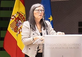 María José Navarro Abellán.