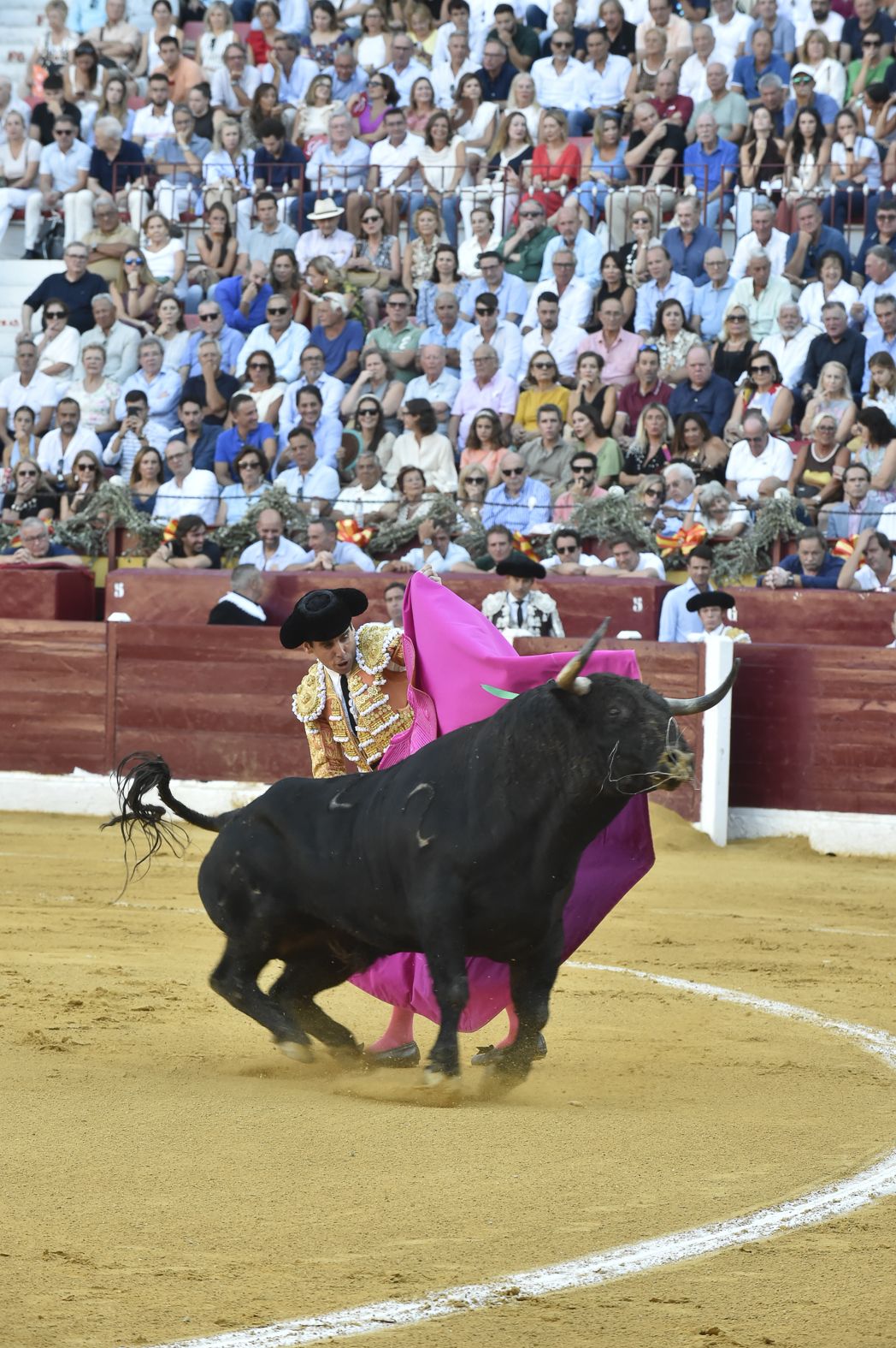 La primera corrida de la Feria Taurina de Murcia, en imágenes