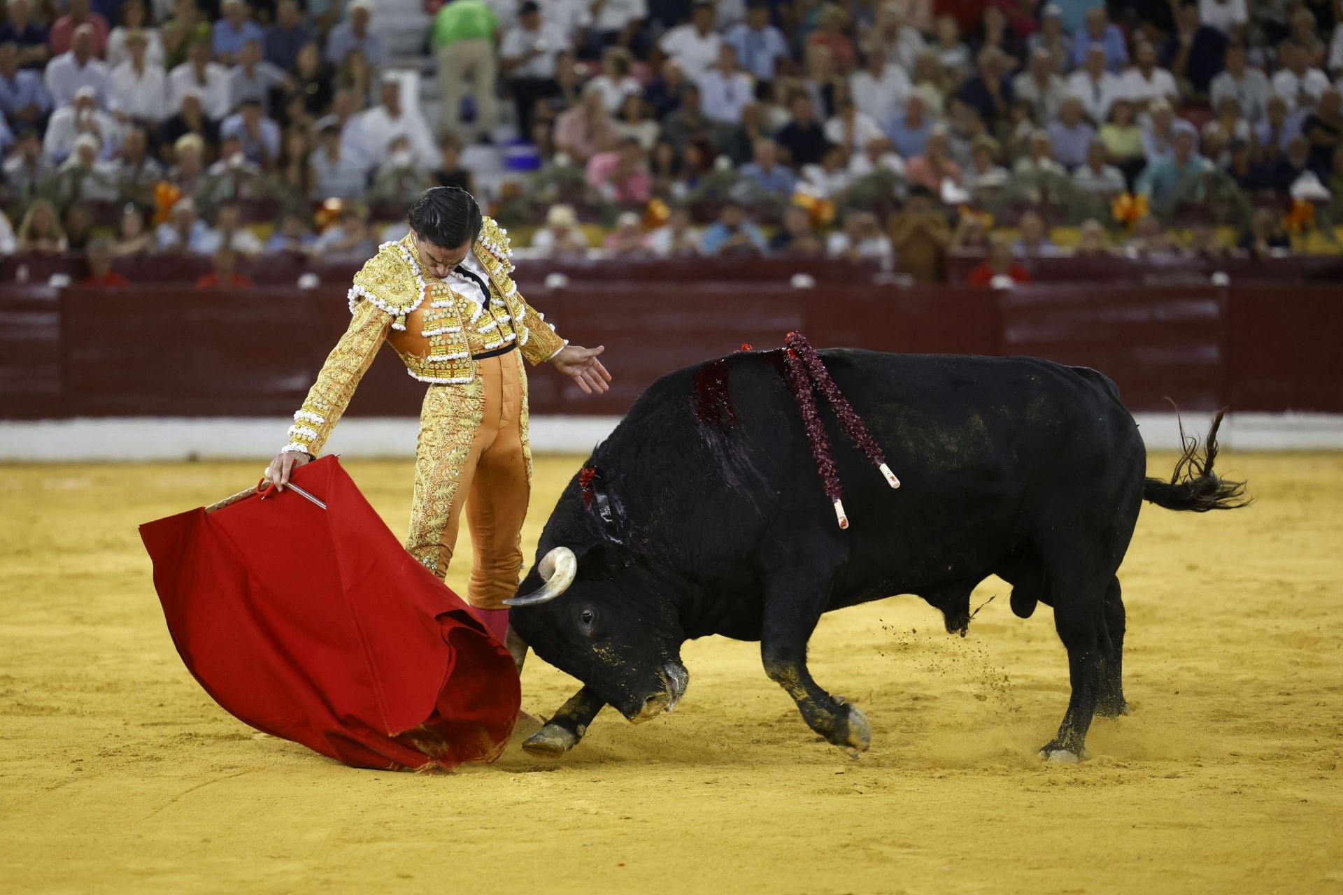 La primera corrida de la Feria Taurina de Murcia, en imágenes