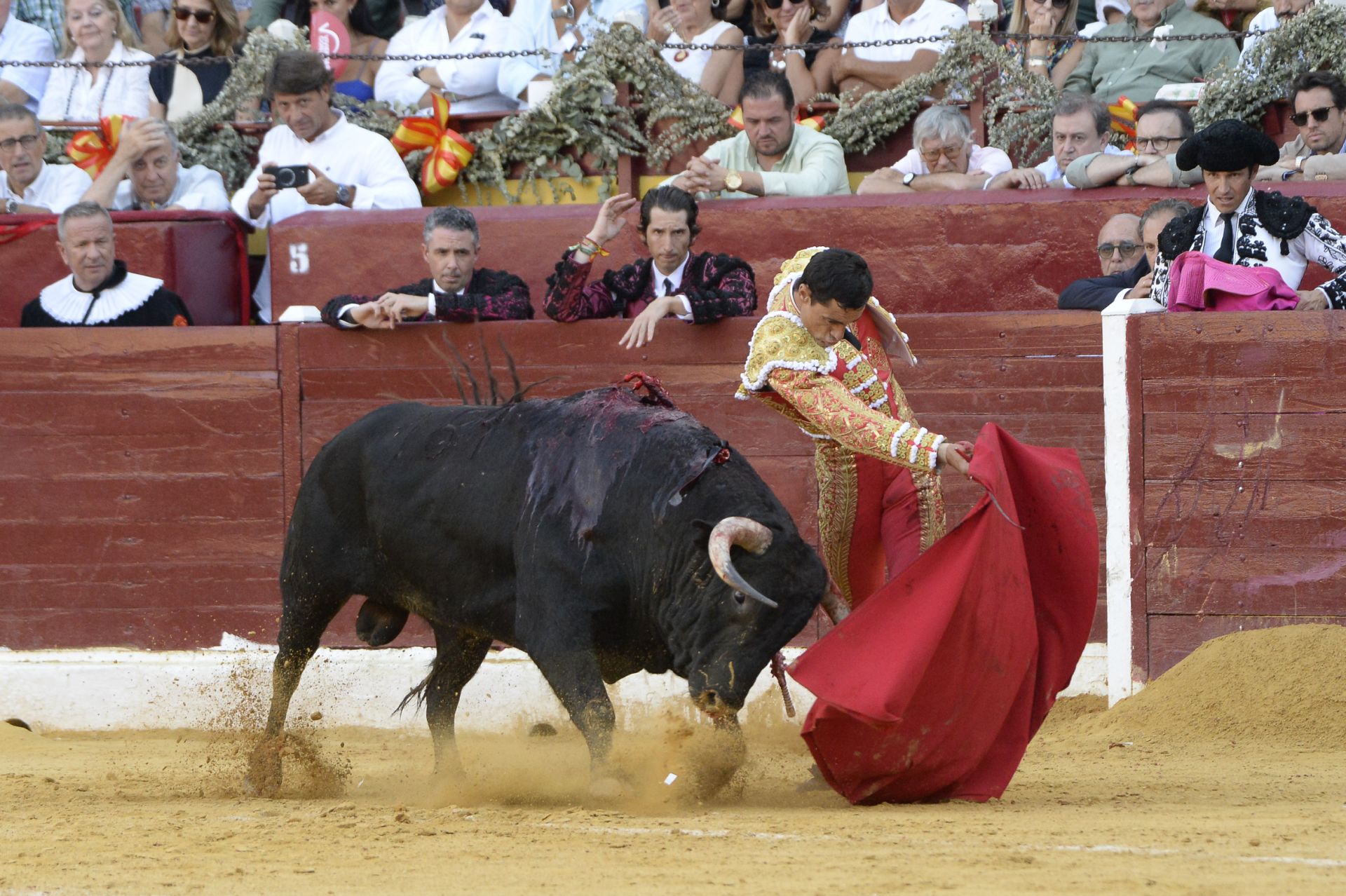 Las imágenes de la corrida de la Romería de la Feria Taurina de Murcia