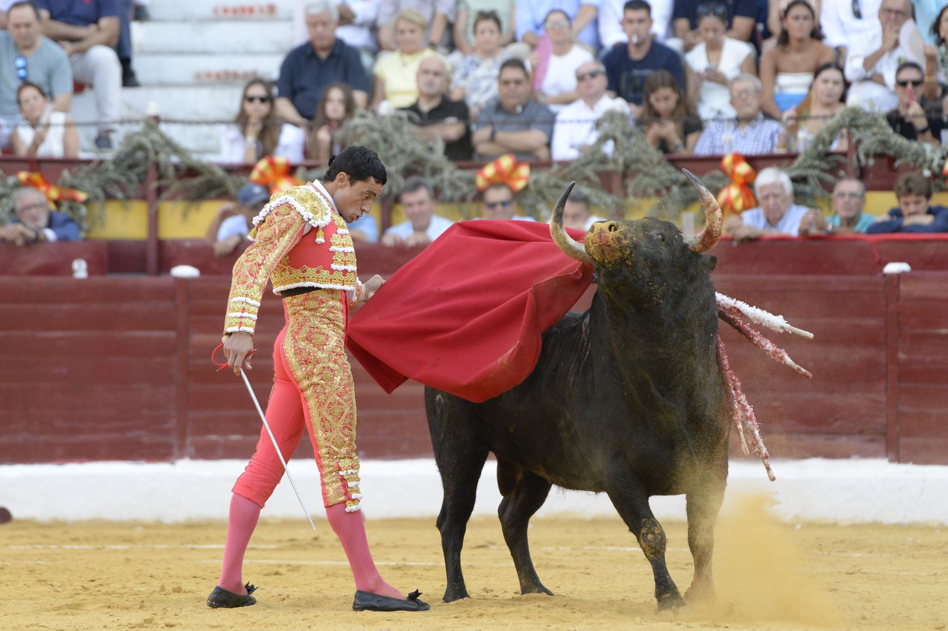 Las imágenes de la corrida de la Romería de la Feria Taurina de Murcia